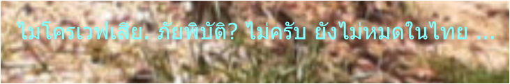 ไมโครเวฟเสีย. ภัยพิบัติ? ไม่ครับ ยังไม่หมดในไทย ...