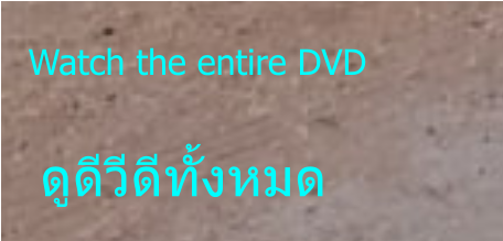 Watch the entire DVD ดูดีวีดีทั้งหมด