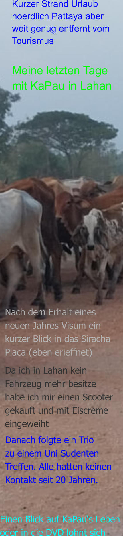 Meine letzten Tage mit KaPau in Lahan Kurzer Strand Urlaub noerdlich Pattaya aber weit genug entfernt vom Tourismus Nach dem Erhalt eines neuen Jahres Visum ein kurzer Blick in das Siracha Placa (eben erieffnet)   Da ich in Lahan kein Fahrzeug mehr besitze habe ich mir einen Scooter gekauft und mit Eiscreme eingeweiht  Danach folgte ein Trio zu einem Uni Sudenten Treffen. Alle hatten keinen  Kontakt seit 20 Jahren. Einen Blick auf KaPau‘s Leben  oder in die DVD lohnt sich